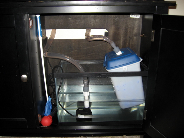 Homemade Wet/Dry Filter & Pond Pump