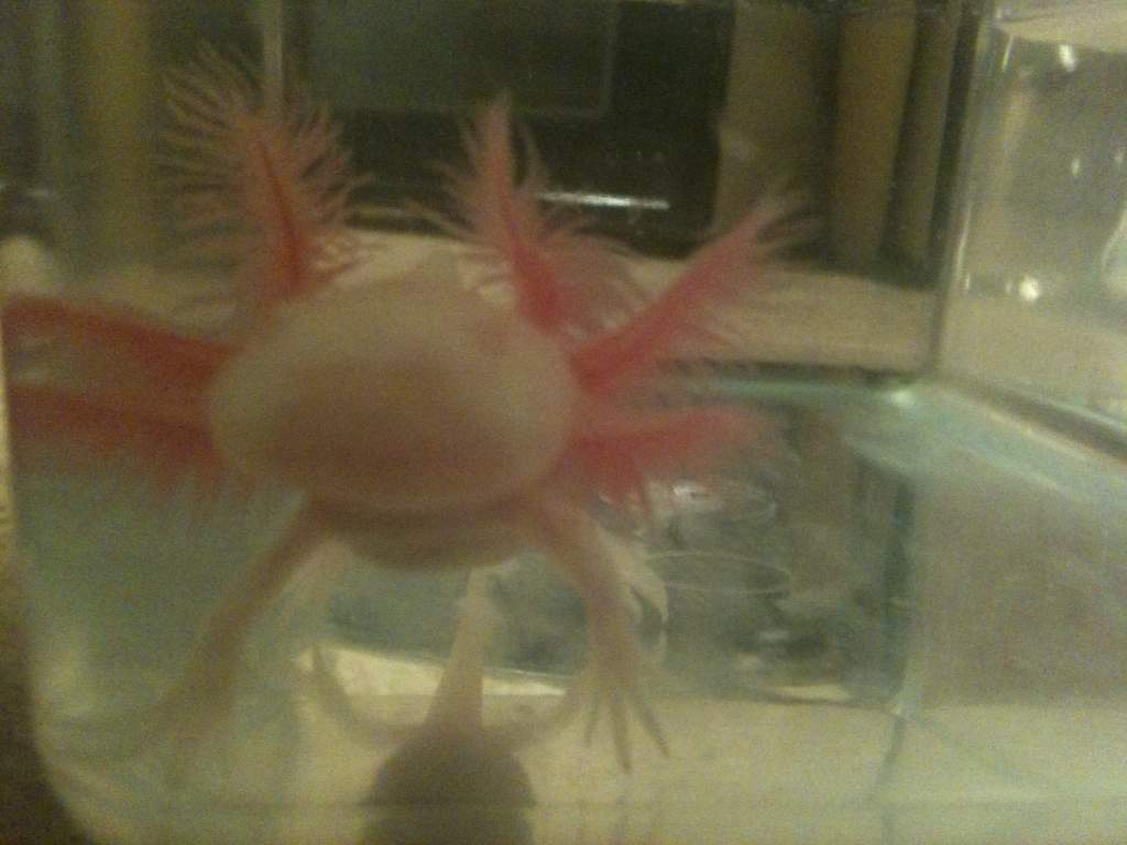 How can you resist this face!!!!