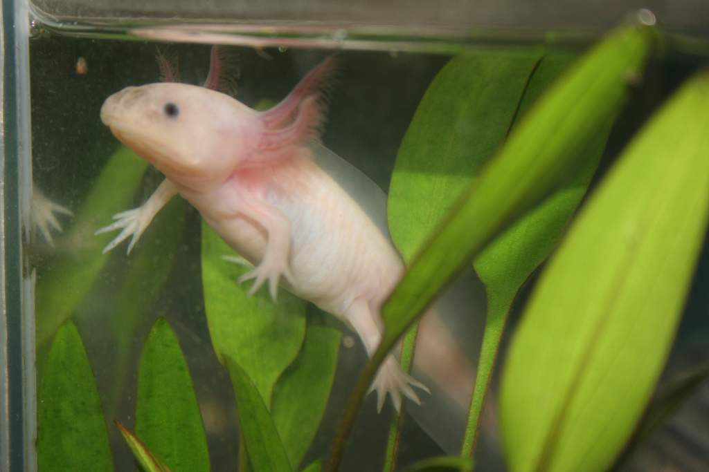 How fast they grew!