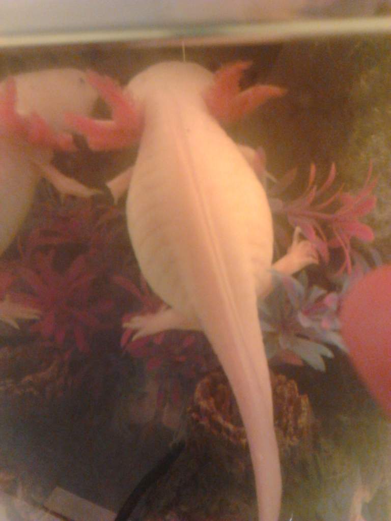 i dont over feed her ether lol