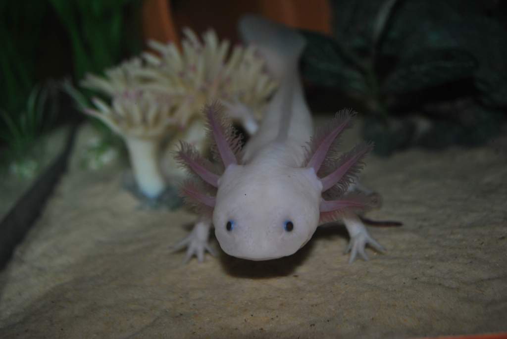 I felt bad when I took this, as I accidentally used the flash >_<