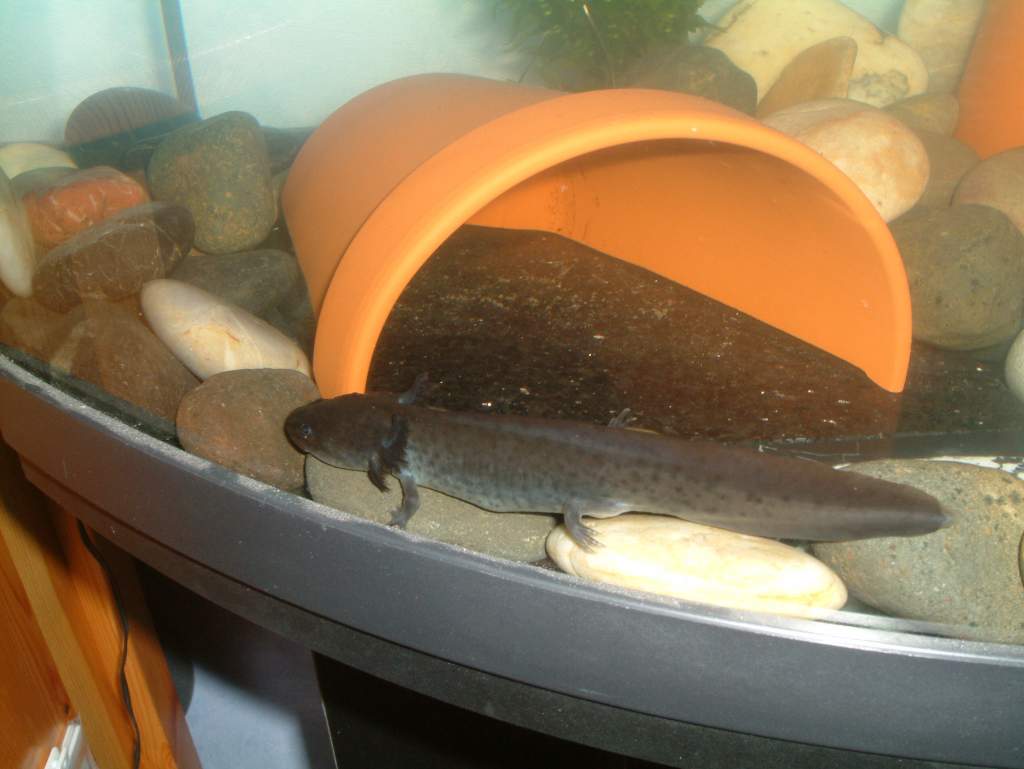 i forgot to turn the flash off