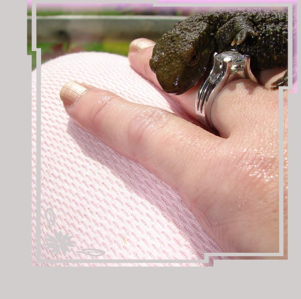 I kissed a toad.....and got my Prince
