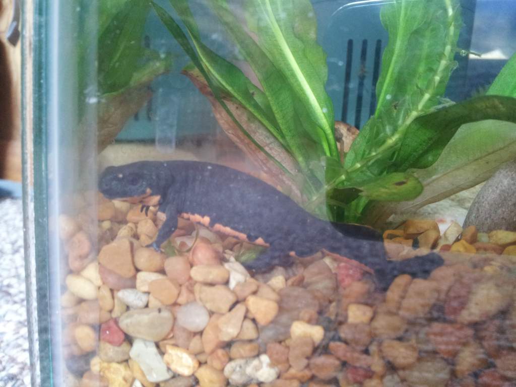 I love how curious and social he is.
