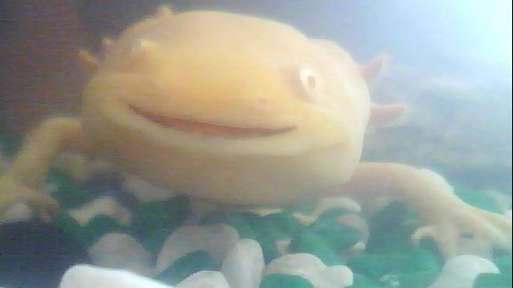 I love the smile ^.^