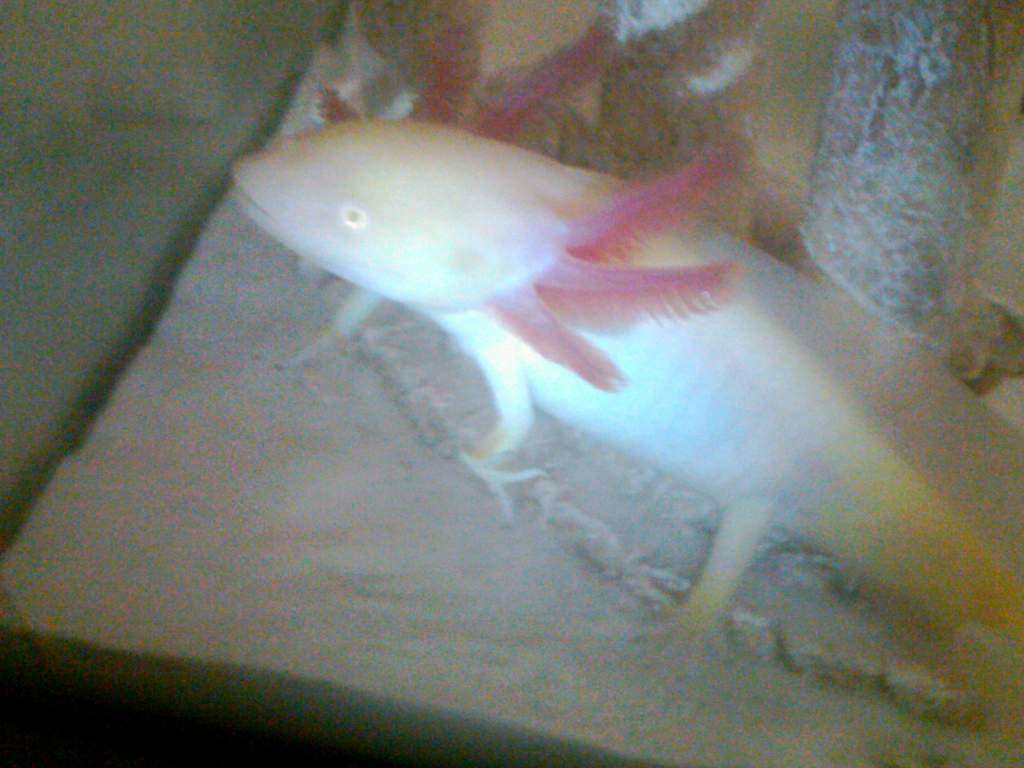 I see you ! I want food !