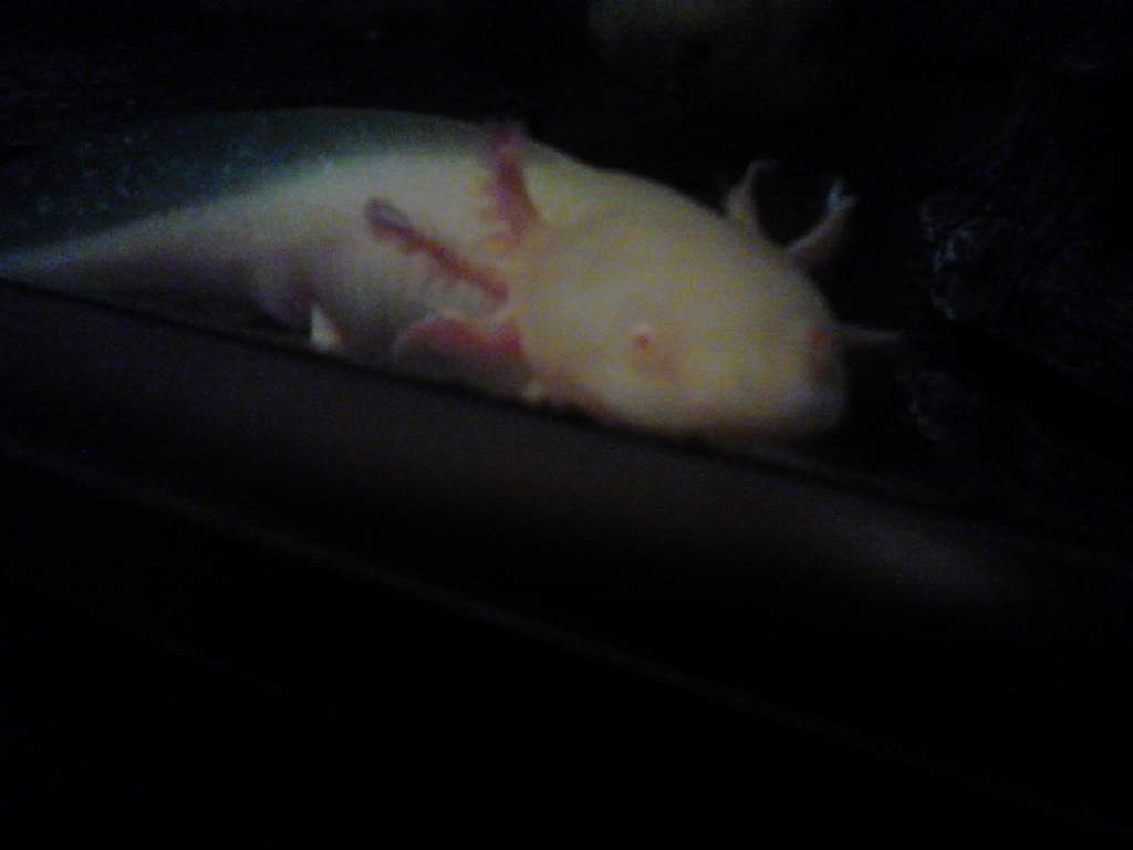 i see you looking at me  an i say no smile unless you got food