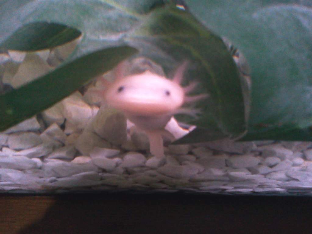 I see you looking at me looking at you.