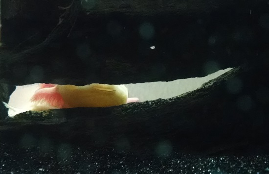 I see you smiling Eos =)