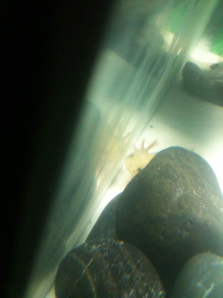 I see you!
