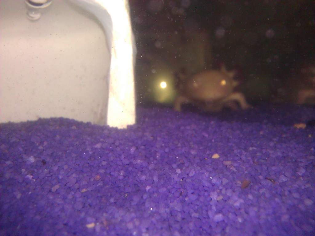 I see you!