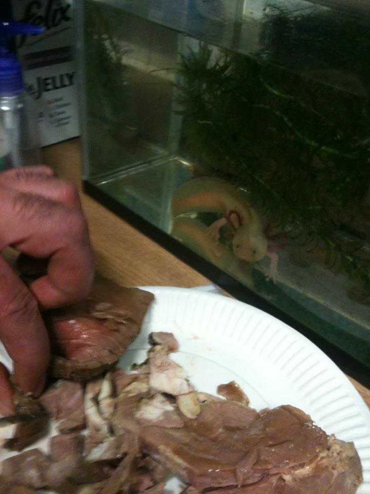 I want what he's having!