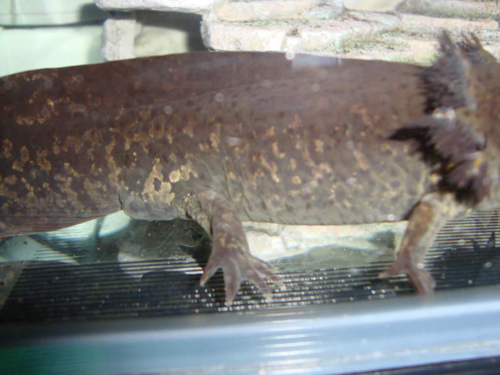 I was told a girl but now im not so sure....