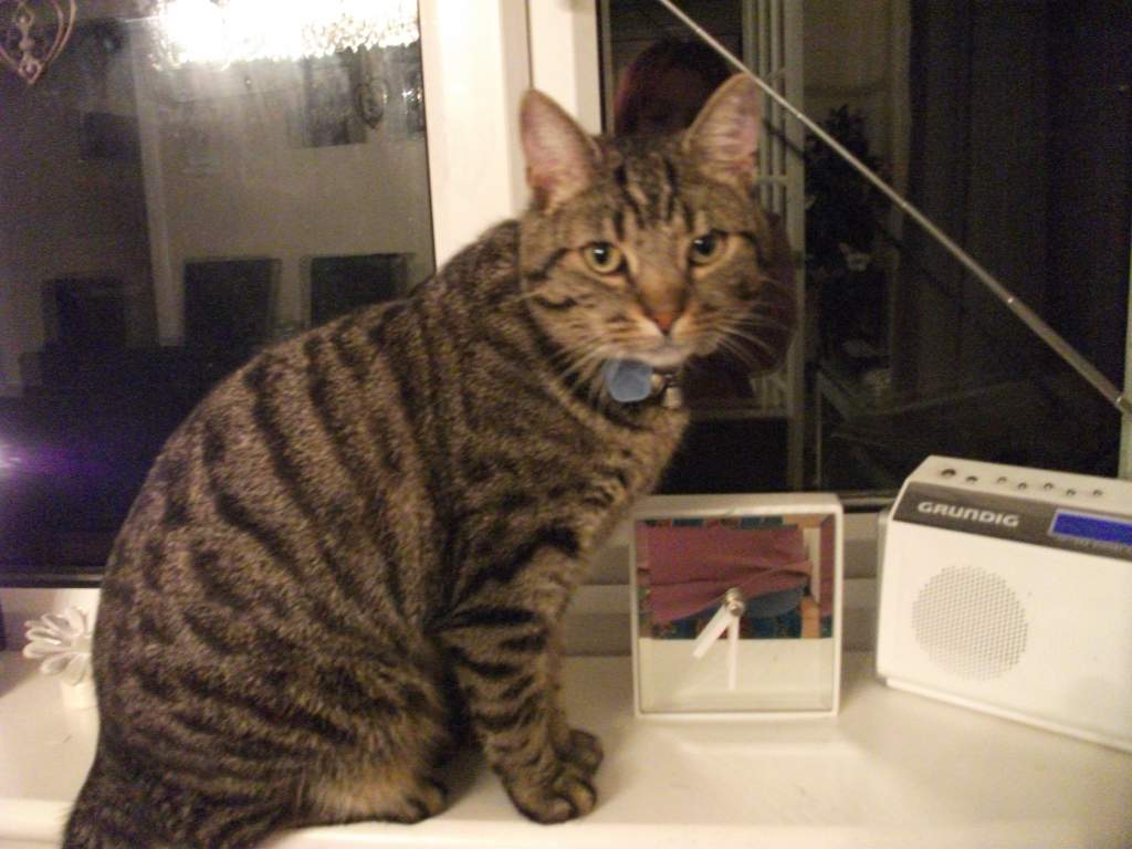 "I'm innocent"...somehow, I don't believe that!