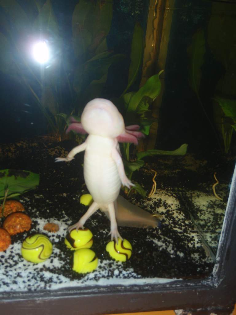 " Im so big! " :)