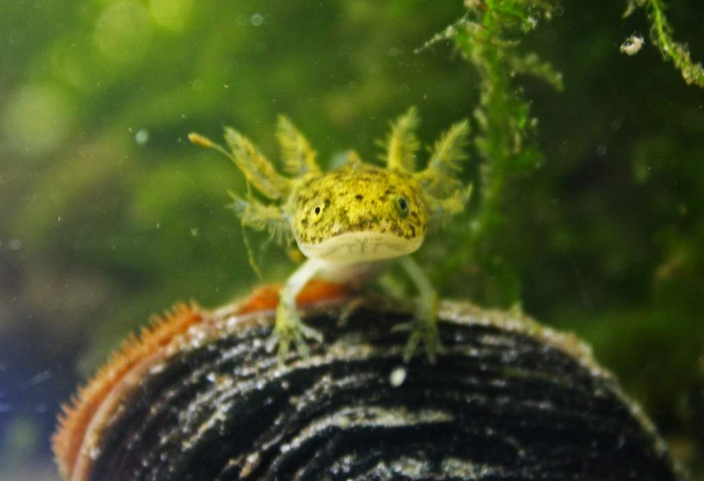 Im watching you. where,s the food?