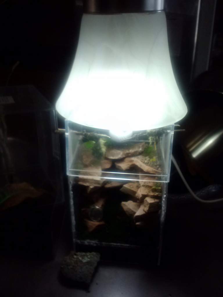 Imade a custom light fixture with 13W CF 6500K bulb