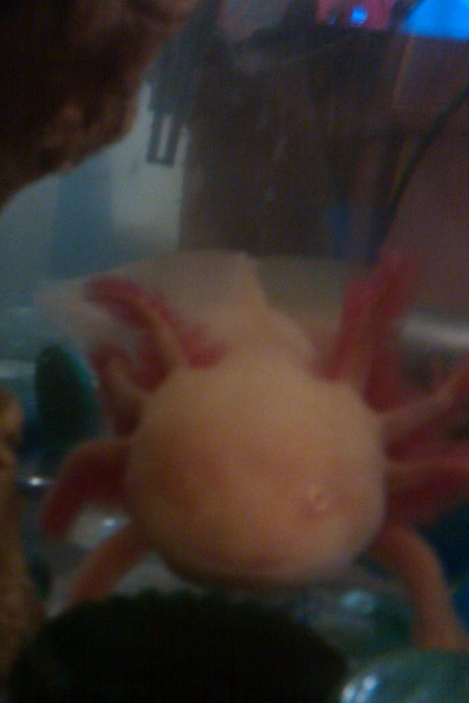 IMAG0030