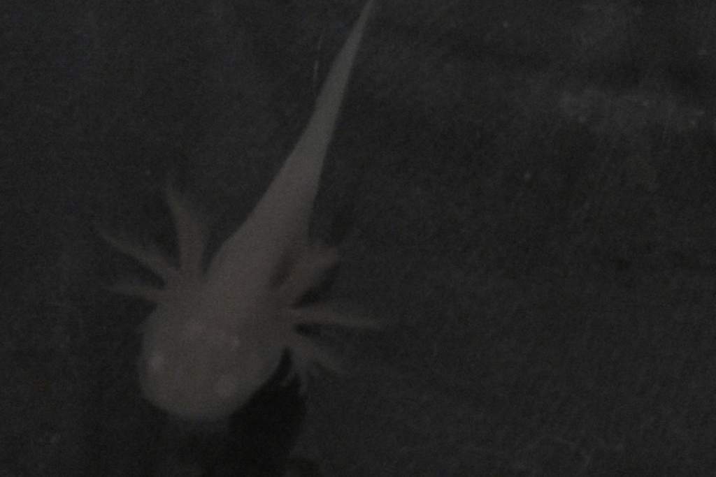 IMAG0053