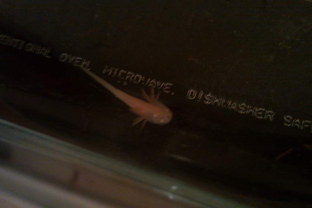 IMAG0059