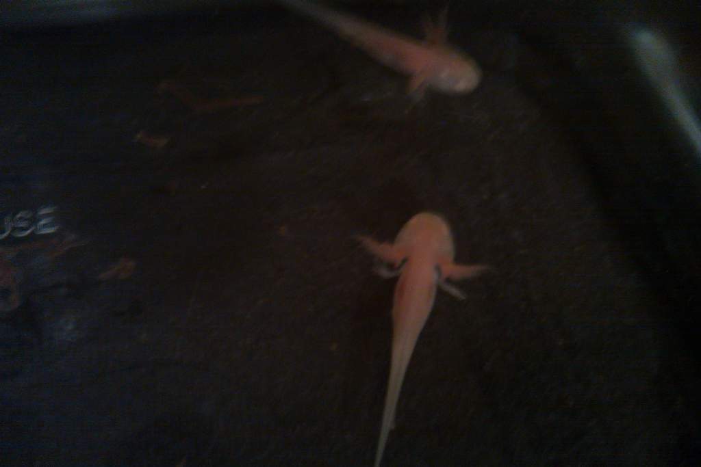 IMAG0060