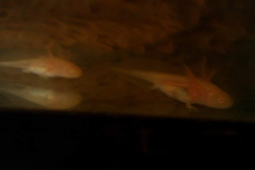 IMAG0084