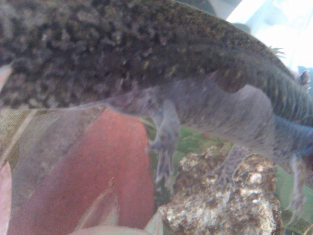 IMAG0105
