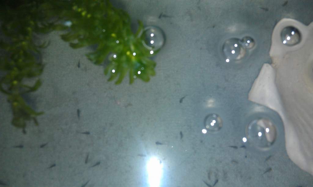 IMAG0252