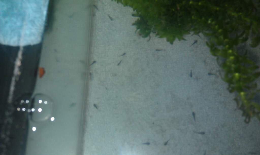 IMAG0254