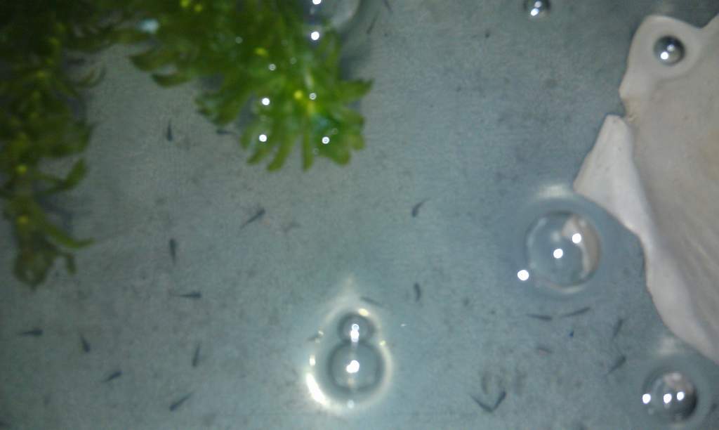 IMAG0258