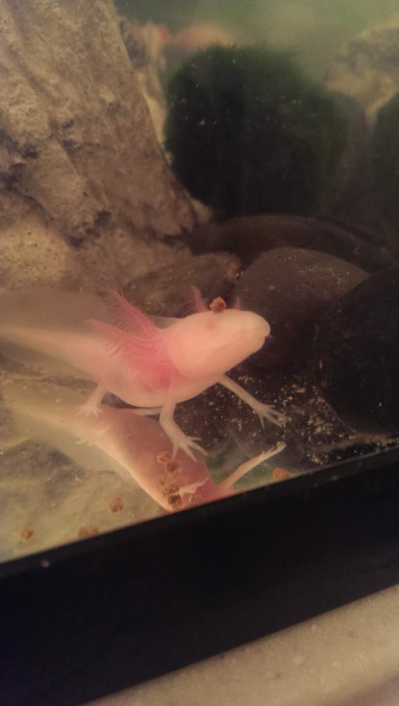 IMAG0281