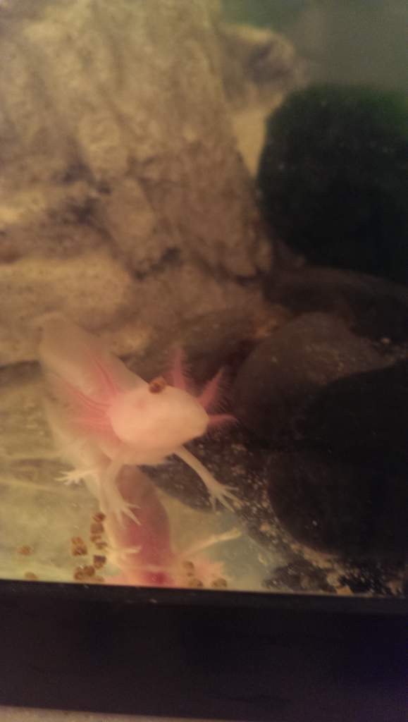IMAG0282