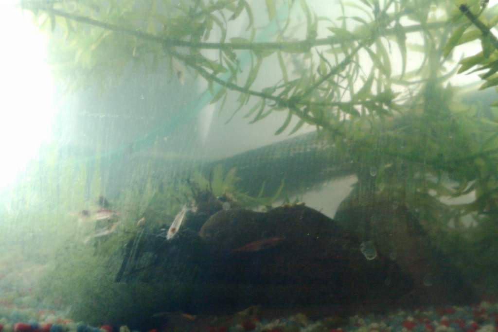 IMAG0288