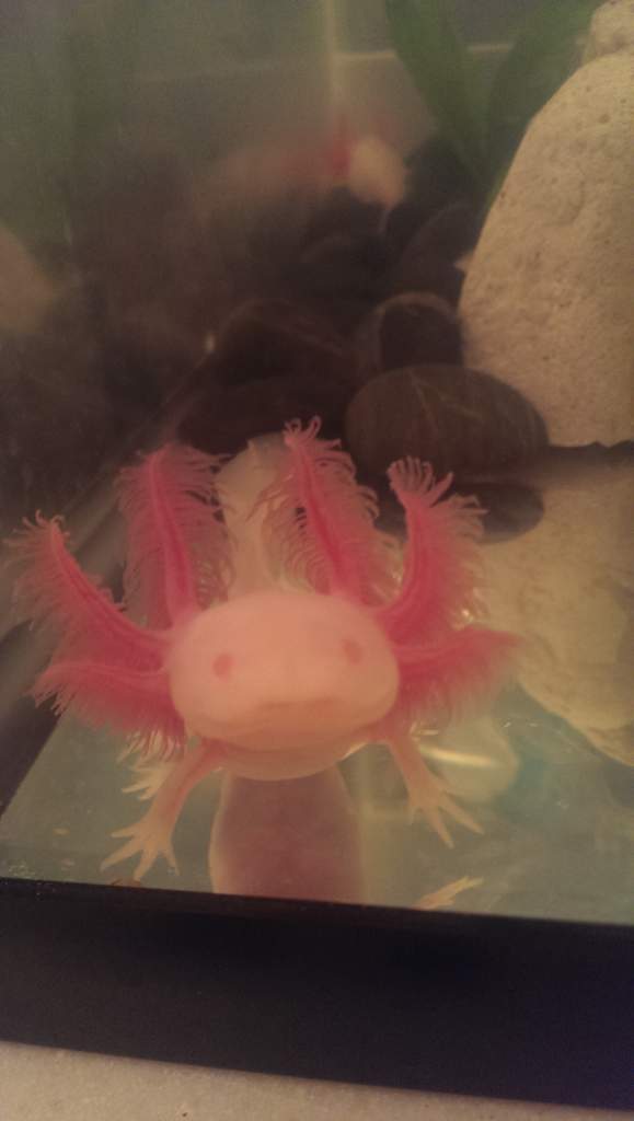 IMAG0324
