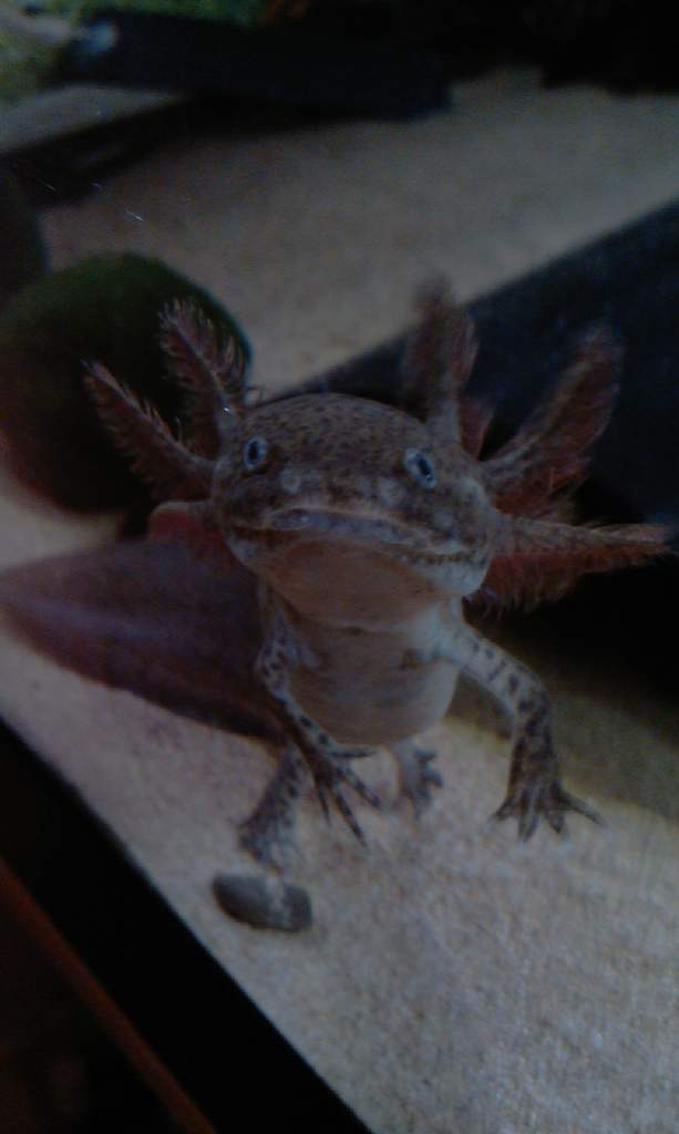 IMAG0379