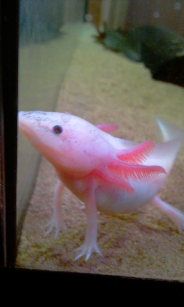 IMAG0425