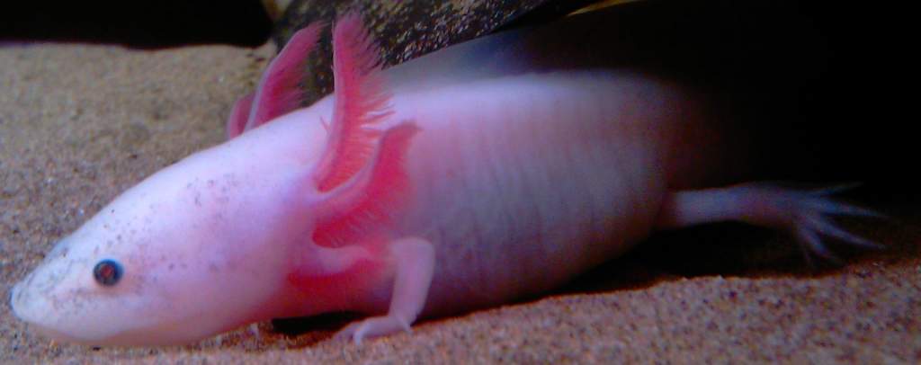 IMAG0444