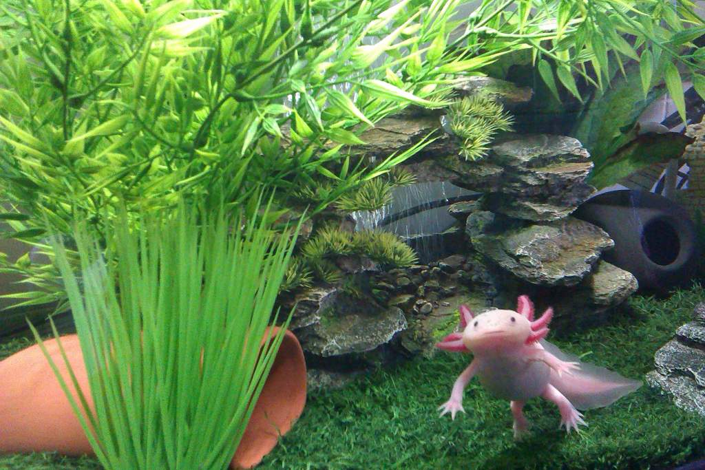 IMAG0457