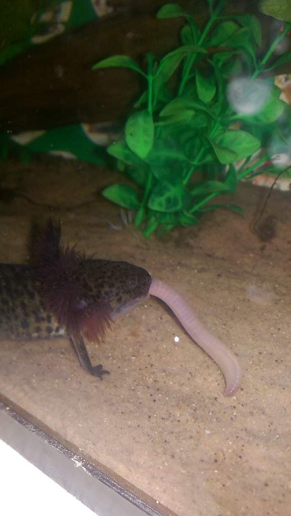 IMAG0607