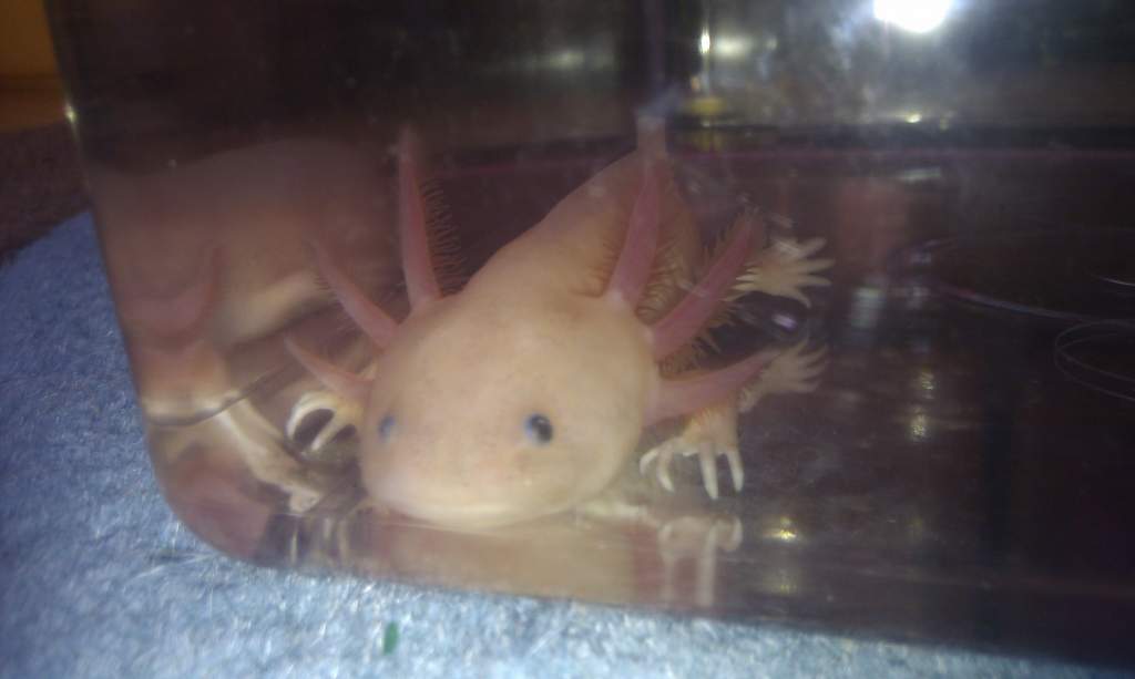 IMAG0782
