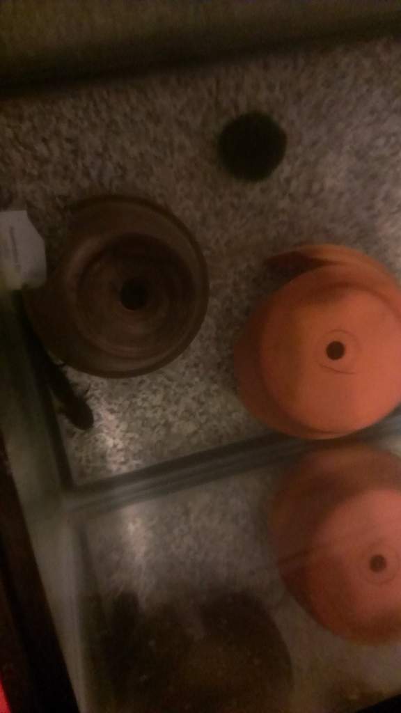 IMAG2820