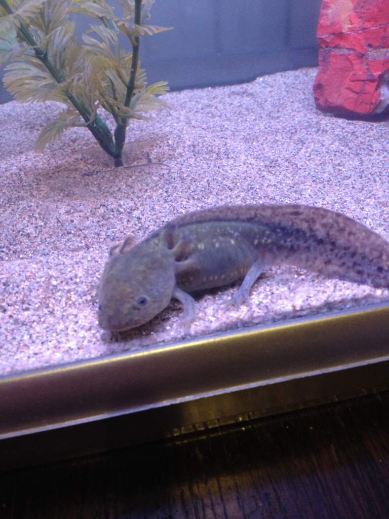 IMG 0155