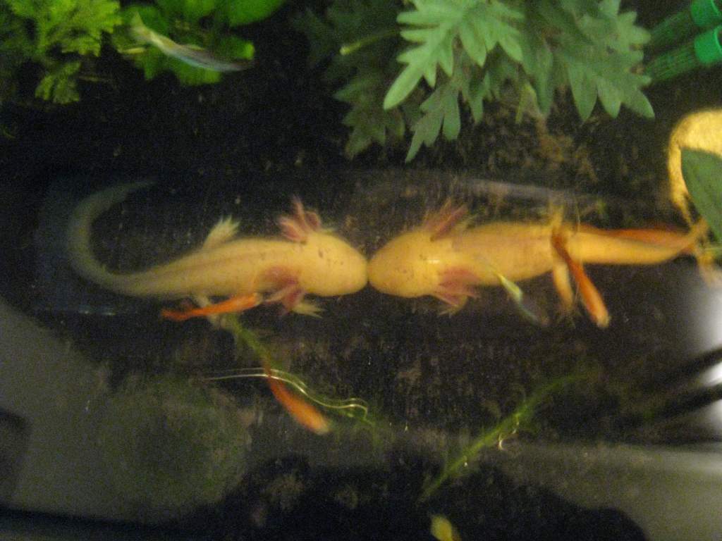 IMG 0345