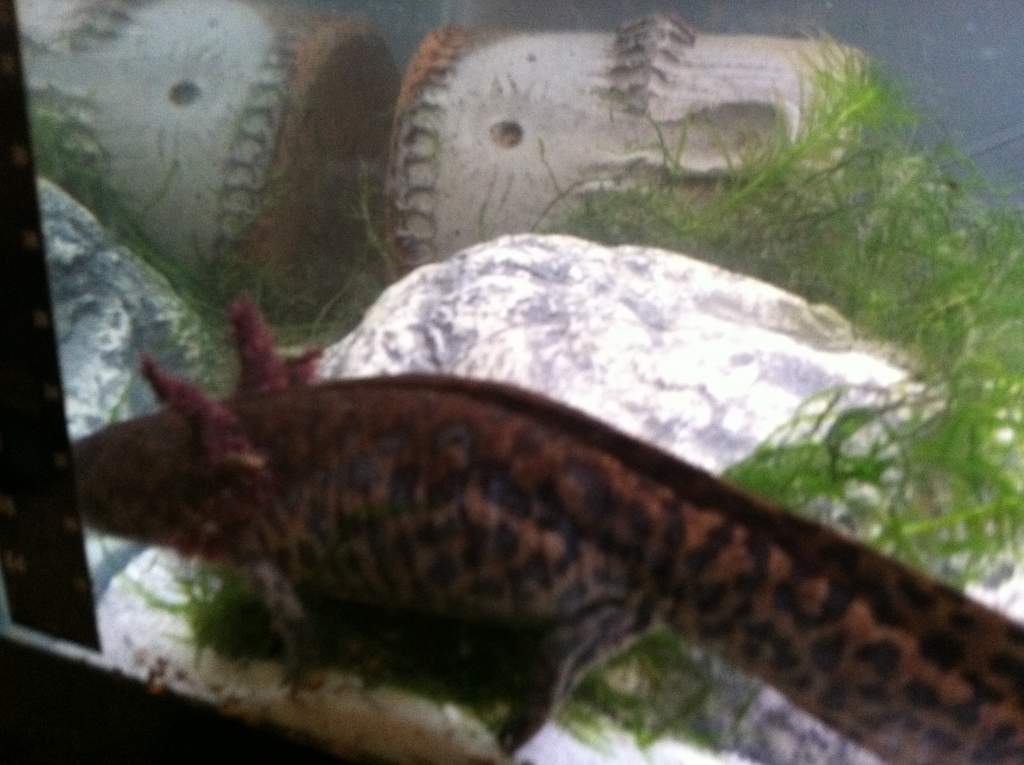 IMG 0410[1]