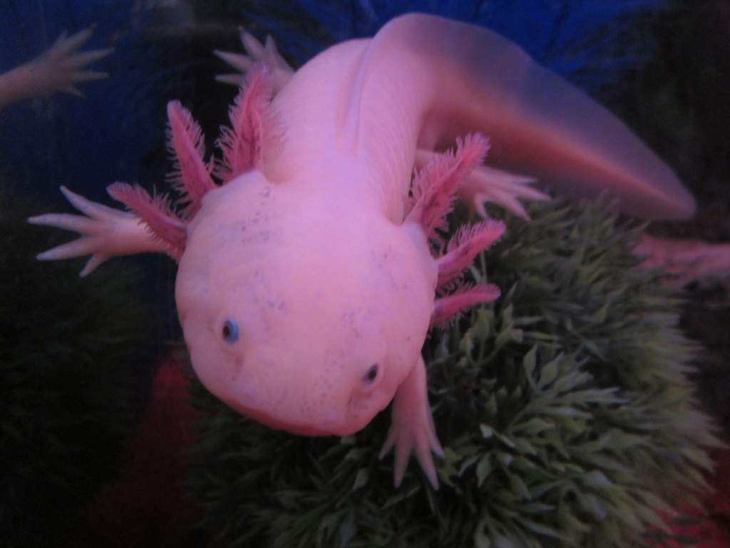 IMG 0725[1]