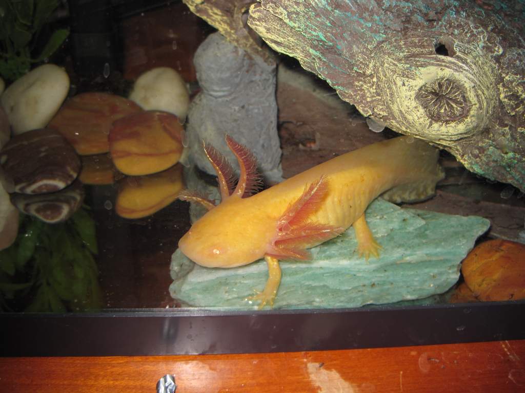 IMG 0881