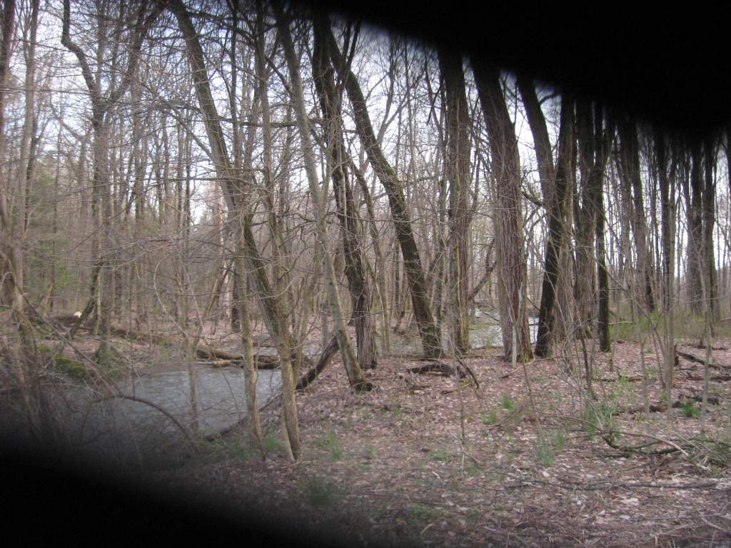 IMG 1546