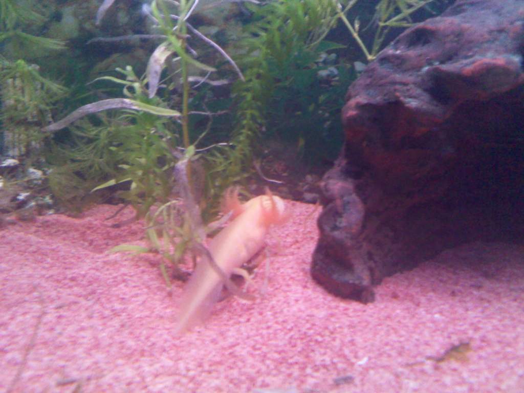 IMG 20110216 125041