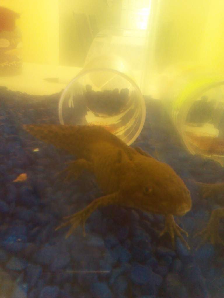 IMG 20110508 083419