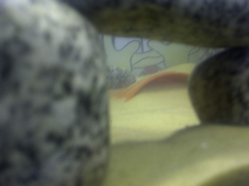 IMG 20111002 00060